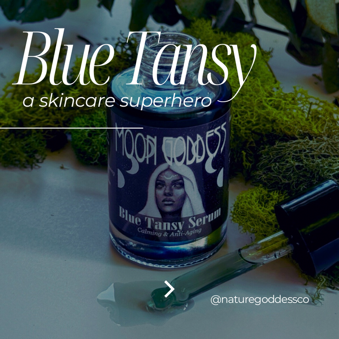 Best-Kept Beauty Secret: Blue Tansy